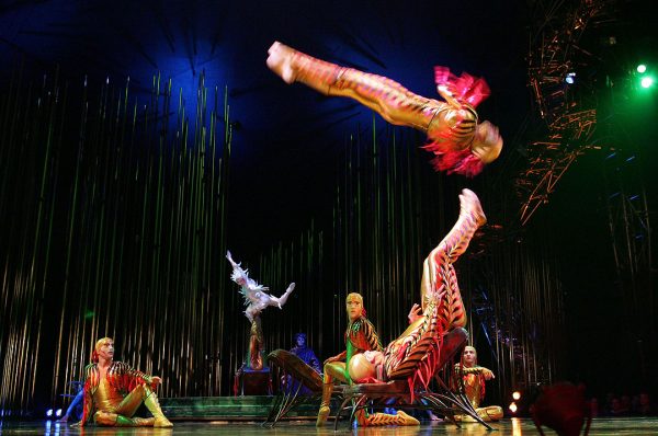 Cirque Du Soleils Varekai